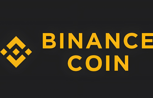 如何使用BIAN支付付款-第1张图片-芝麻交易所下载